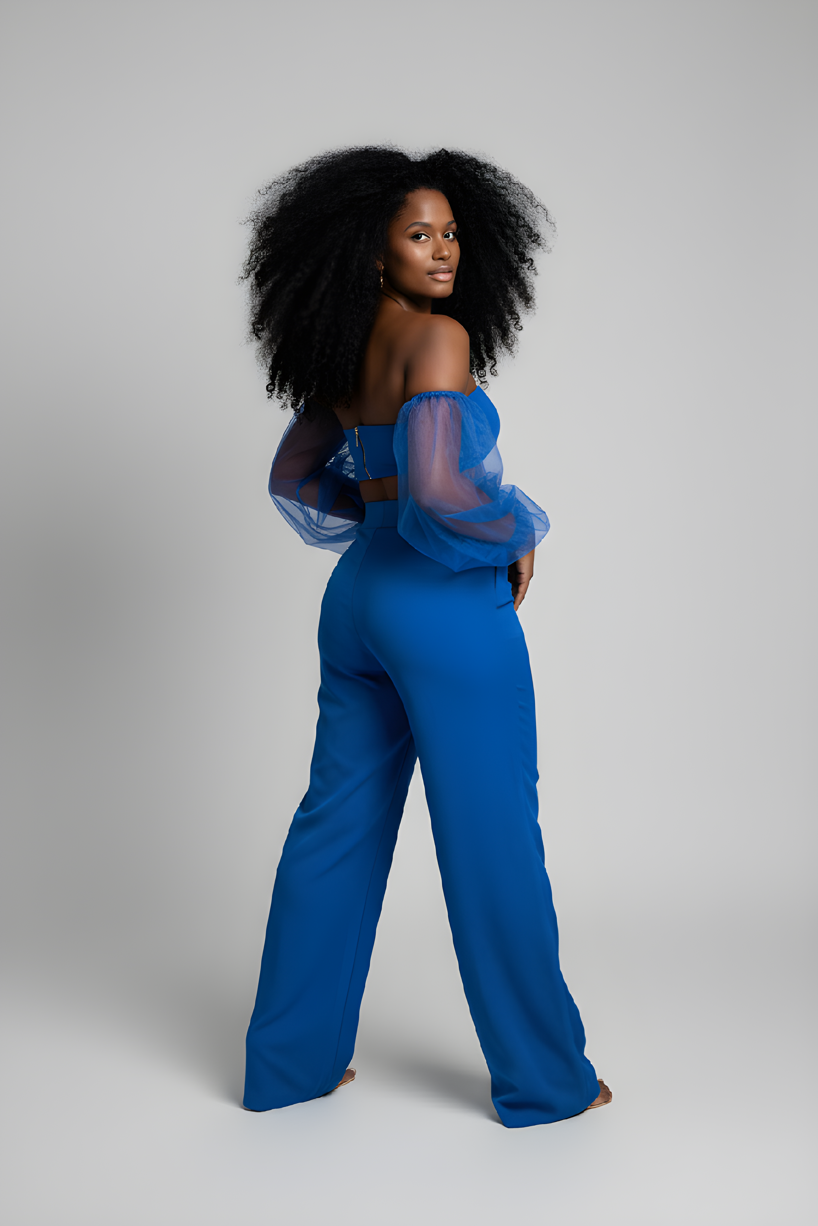 Royal Blue Sheer Sleeves Crop Top & Wide-Leg Pant Set image 1